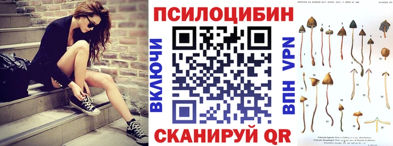 где найти наркотики  Белоозёрский  Галлюциногенные грибы Psilocybe 